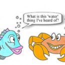 Fish asking a crab