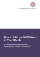 Self Esteem Practitioners Course book cover