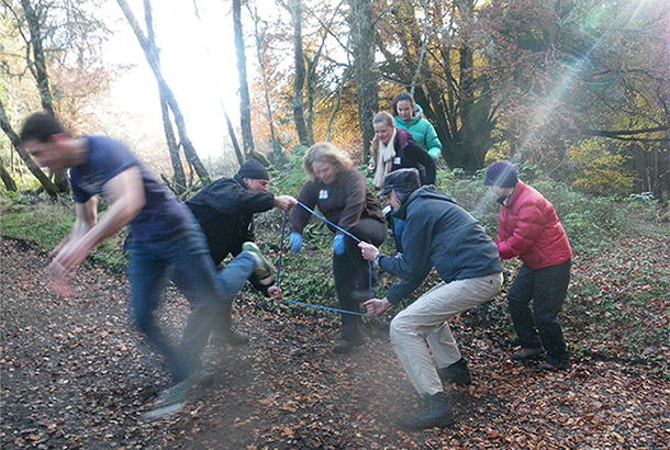 Building exercise in the wood